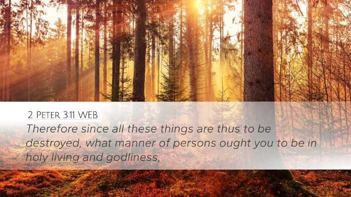 2 Peter 3:11 WEB Bible Verse Image