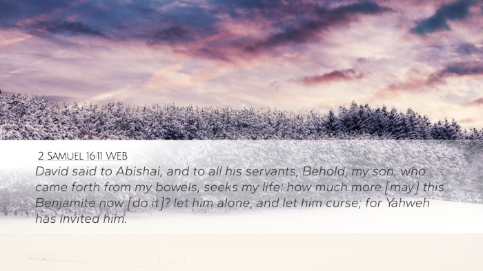 2 Samuel 16:11 WEB Bible Verse Image
