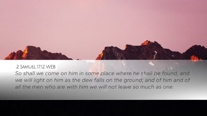 2 Samuel 17:12 WEB Bible Verse Image