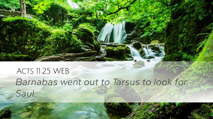 Acts 11:25 WEB Bible Verse Image