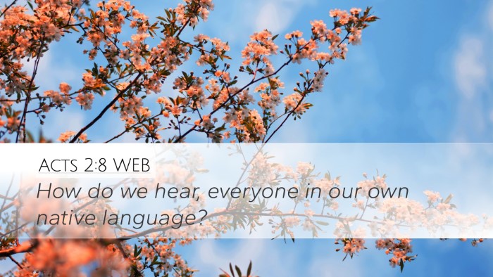 Acts 2:8 WEB Desktop Wallpaper - How do we hear, everyone in our own native - Desktop Bible Verse Wallpaper