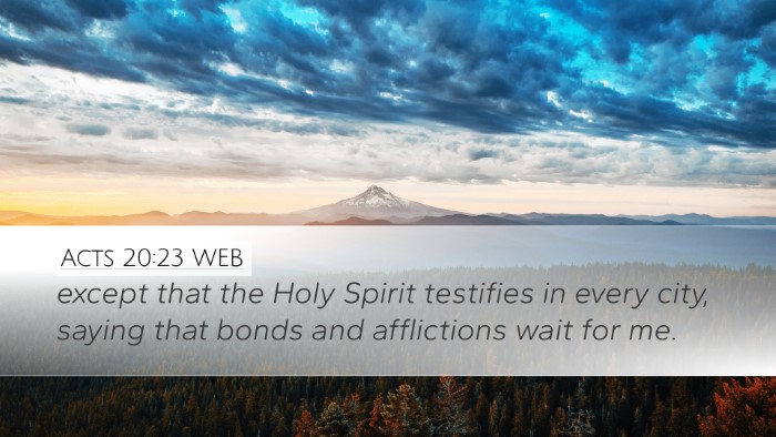 Acts 20:23 WEB Bible Verse Image