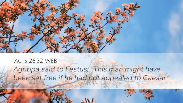 Acts 26:32 WEB Bible Verse Image