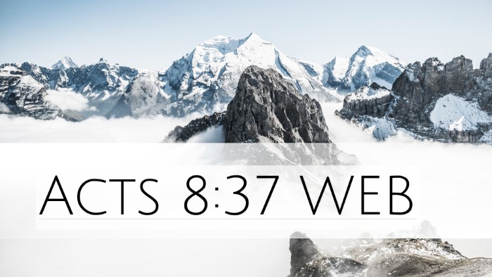 Acts 8:37 WEB Desktop Wallpaper -  - Desktop Bible Verse Wallpaper