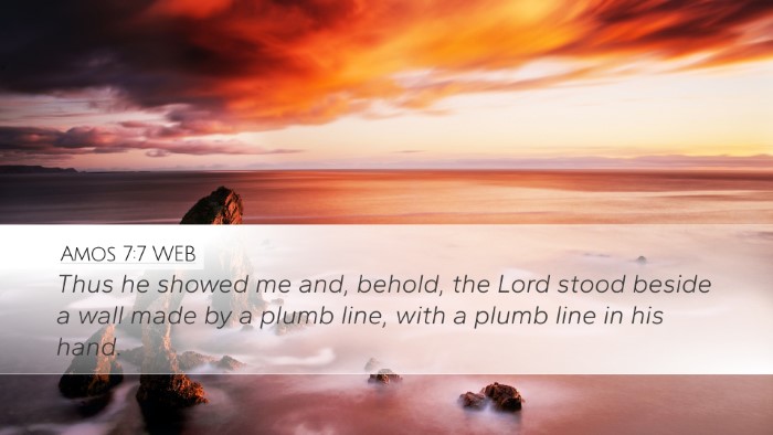 Amos 7:7 WEB Bible Verse Image