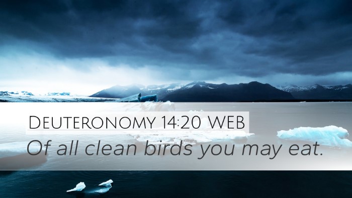 Deuteronomy 14:20 WEB Desktop Wallpaper - Of all clean birds you may - Desktop Bible Verse Wallpaper