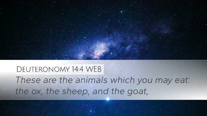 Deuteronomy 14:4 WEB Desktop Wallpaper - These are the animals which you may eat: the ox, - Desktop Bible Verse Wallpaper