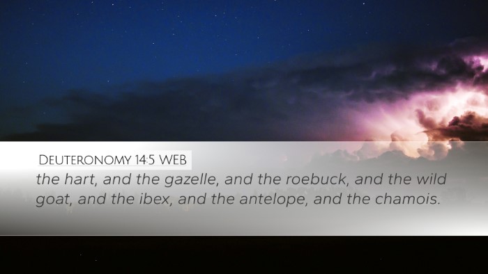Deuteronomy 14:5 WEB Bible Verse Image
