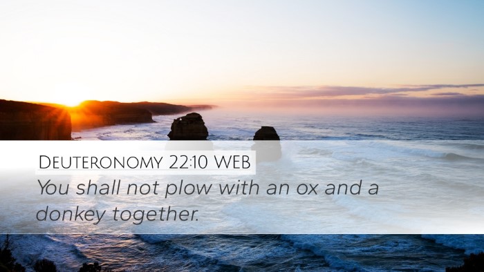Deuteronomy 22:10 WEB Desktop Wallpaper - You shall not plow with an ox and a donkey - Desktop Bible Verse Wallpaper