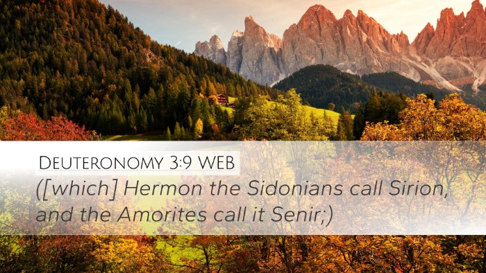 Deuteronomy 3:9 WEB Bible Verse Image
