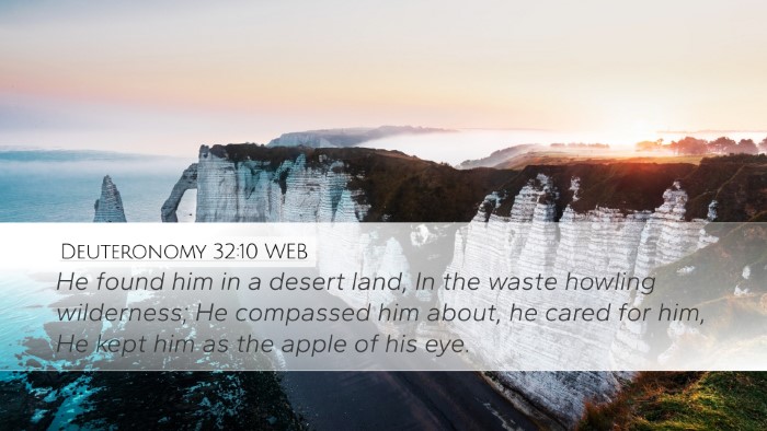 Deuteronomy 32:10 WEB Bible Verse Image