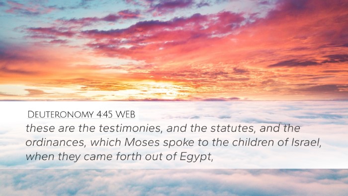 Deuteronomy 4:45 WEB Bible Verse Image