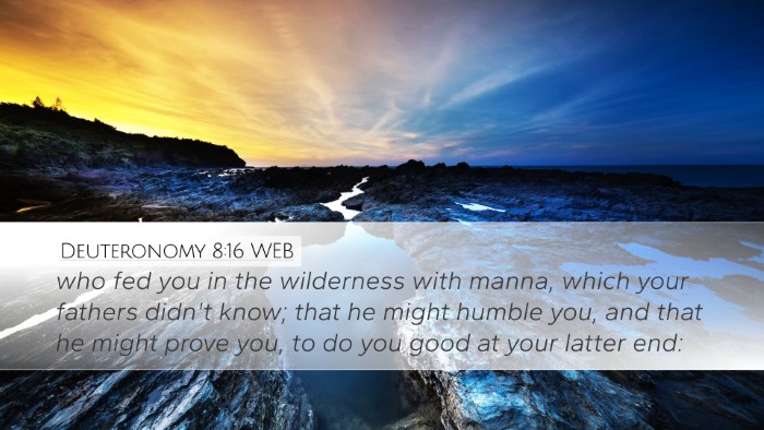 Deuteronomy 8:16 WEB Bible Verse Image