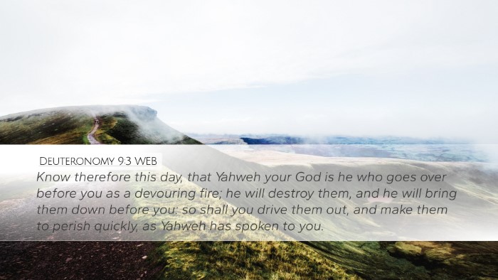 Deuteronomy 9:3 WEB Bible Verse Image