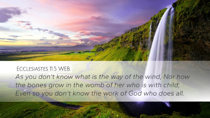 Ecclesiastes 11:5 WEB Bible Verse Image