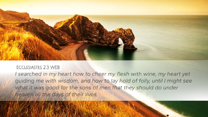 Ecclesiastes 2:3 WEB Bible Verse Image