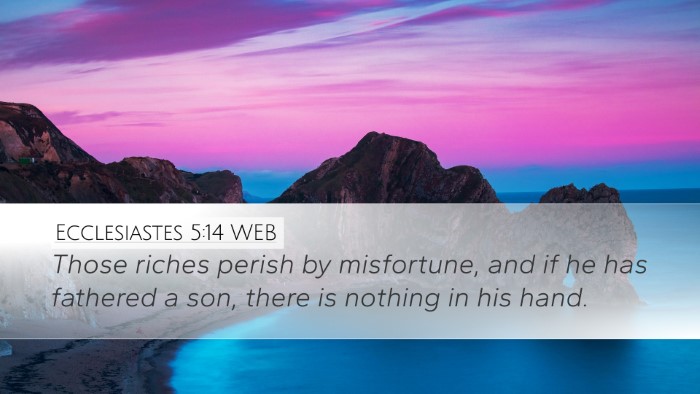 Ecclesiastes 5:14 WEB Desktop Wallpaper - Those riches perish by misfortune, and if he has - Desktop Bible Verse Wallpaper