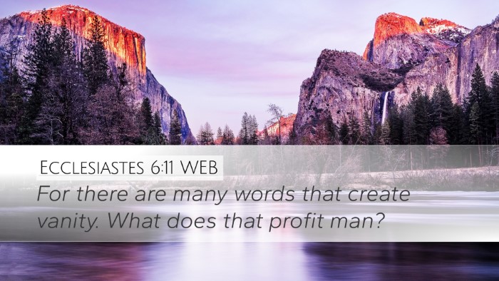 Ecclesiastes 6:11 WEB Bible Verse Image