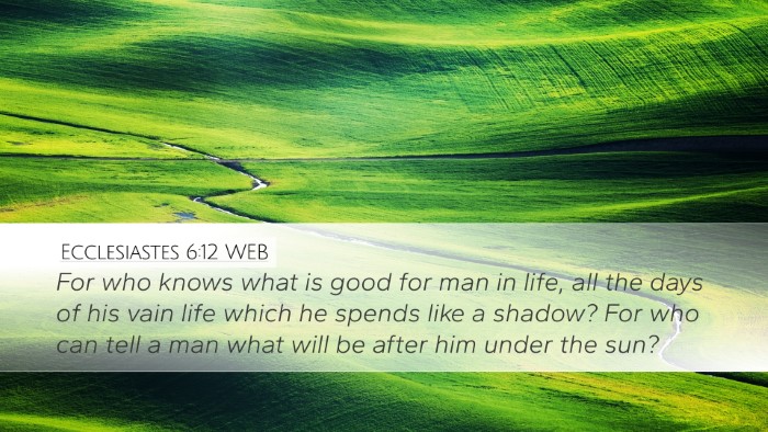 Ecclesiastes 6:12 WEB Bible Verse Image