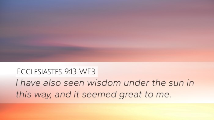 Ecclesiastes 9:13 WEB Bible Verse Image