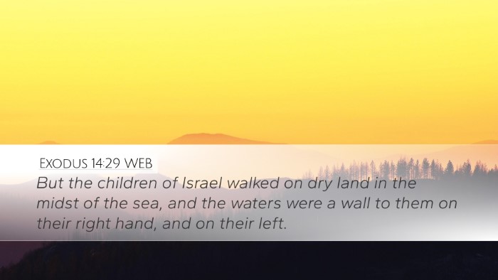 Exodus 14:29 WEB Bible Verse Image