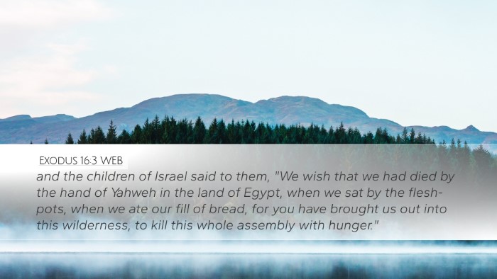 Exodus 16:3 WEB Bible Verse Image