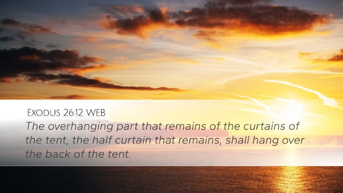 Exodus 26:12 WEB Bible Verse Image