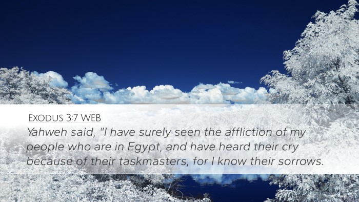 Exodus 3:7 WEB Bible Verse Image