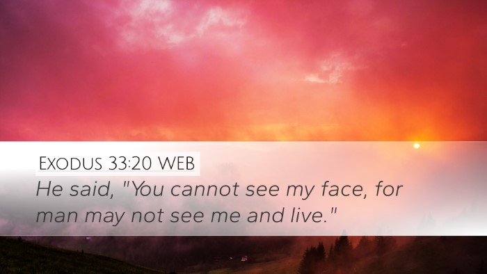 Exodus 33:20 WEB Bible Verse Image