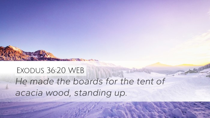 Exodus 36:20 WEB Bible Verse Image
