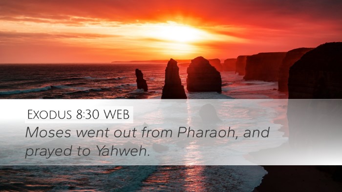 Exodus 8:30 WEB Desktop Wallpaper - Moses went out from Pharaoh, and prayed to - Desktop Bible Verse Wallpaper