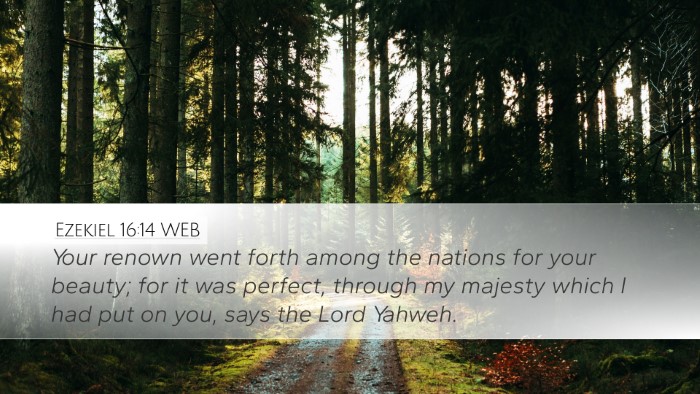 Ezekiel 16:14 WEB Bible Verse Image