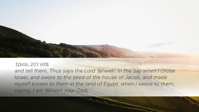 Ezekiel 20:5 WEB Bible Verse Image