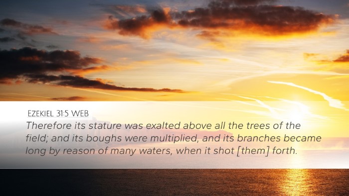 Ezekiel 31:5 WEB Desktop Wallpaper - Therefore its stature was exalted above all the - Desktop Bible Verse Wallpaper