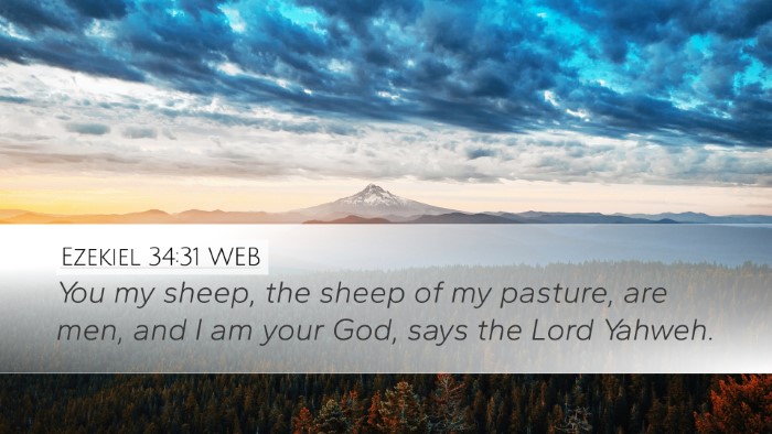 Ezekiel 34:31 WEB Bible Verse Image