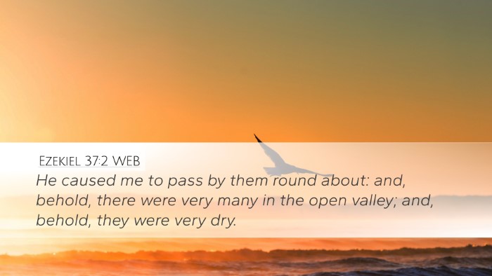 Ezekiel 37:2 WEB Bible Verse Image