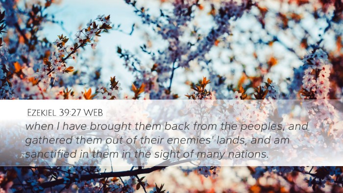 Ezekiel 39:27 WEB Desktop Wallpaper - when I have brought them back from the peoples, - Desktop Bible Verse Wallpaper