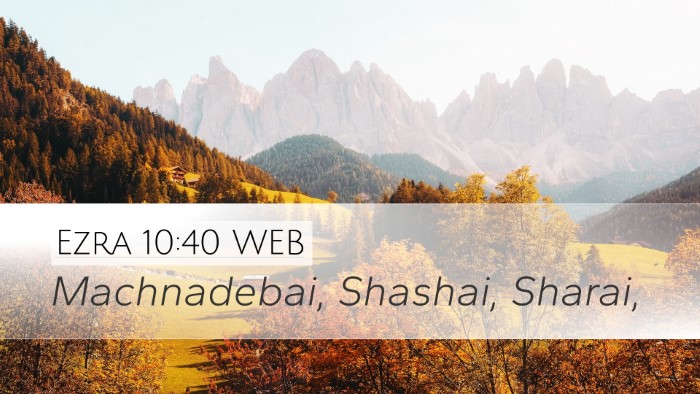 Ezra 10:40 WEB Desktop Wallpaper - Machnadebai, Shashai, - Desktop Bible Verse Wallpaper