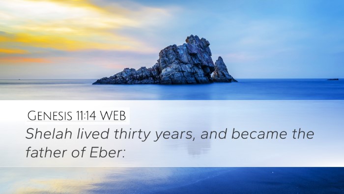 Genesis 11:14 WEB Desktop Wallpaper - Shelah lived thirty years, and became the father - Desktop Bible Verse Wallpaper