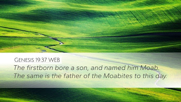 Genesis 19:37 WEB Bible Verse Image