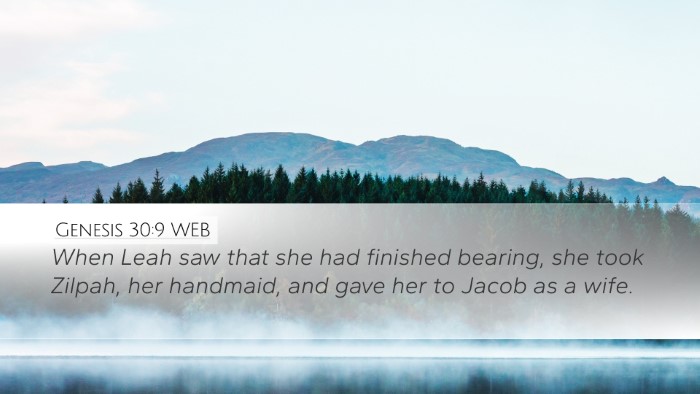 Genesis 30:9 WEB Bible Verse Image