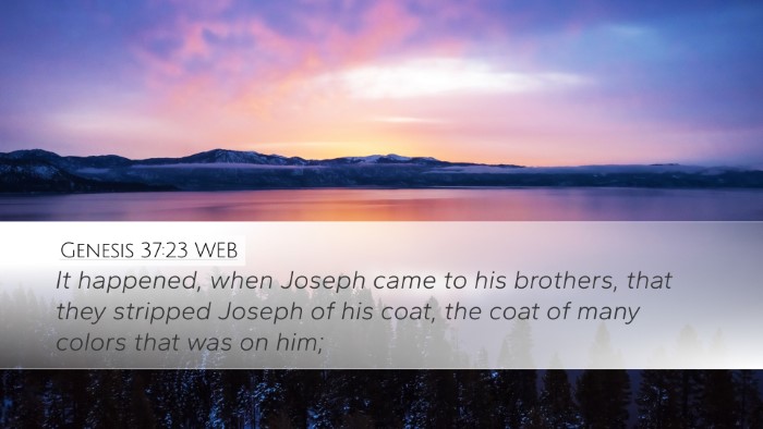 Genesis 37:23 WEB Bible Verse Image