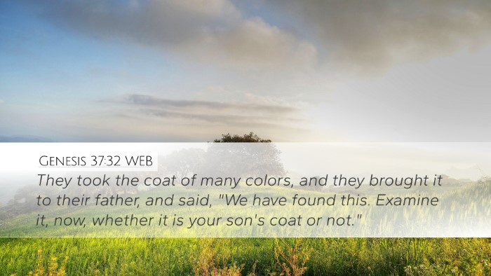 Genesis 37:32 WEB Bible Verse Image