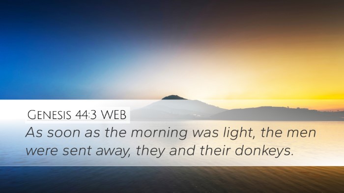 Genesis 44:3 WEB Desktop Wallpaper - As soon as the morning was light, the men were - Desktop Bible Verse Wallpaper