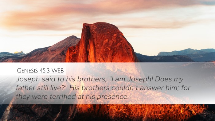 Genesis 45:3 WEB Desktop Wallpaper - Joseph said to his brothers, 