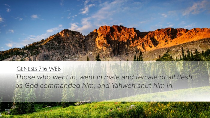Genesis 7:16 WEB Desktop Wallpaper - Those who went in, went in male and female of all - Desktop Bible Verse Wallpaper