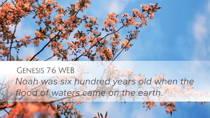 Genesis 7:6 WEB Desktop Wallpaper - Noah was six hundred years old when the flood of - Desktop Bible Verse Wallpaper