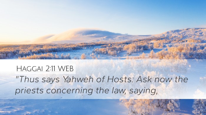 Haggai 2:11 WEB Bible Verse Image