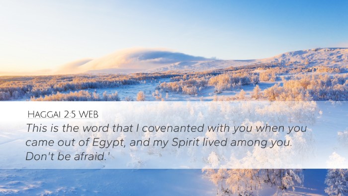 Haggai 2:5 WEB Bible Verse Image