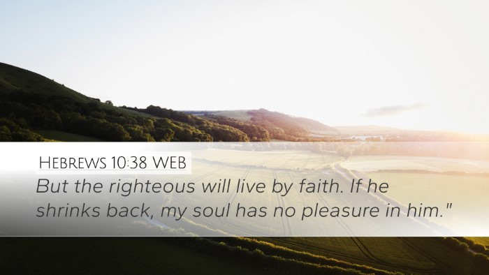 Hebrews 10:38 WEB Bible Verse Image